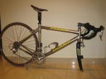 bici1.jpeg