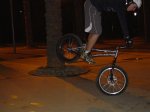 DSC00213.jpg