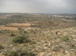 fotos elche (22).jpg