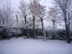 Foto1.JPG