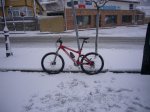 Foto5.JPG