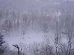 Foto9.JPG
