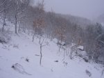 Foto10.JPG