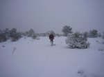 Foto16.JPG
