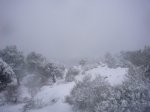 Foto22.JPG