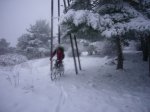 Foto23.JPG