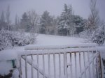 Foto31.JPG