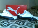 puma2.jpg