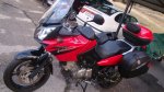 DSC00798.jpg