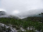 Image 05.jpg