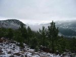Image 07.jpg