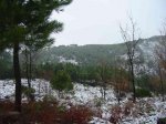 Image 10.jpg