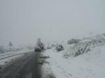 DSCN8146_.jpg