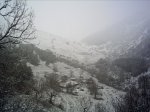 PICT0002.JPG