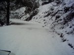 PICT0003.JPG