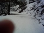 PICT0004.JPG
