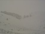 PICT0006.JPG