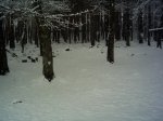 PICT0012.JPG