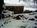 PICT0013.JPG