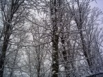 PICT0015.JPG