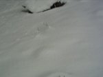PICT0022.JPG