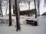 PICT0021.JPG