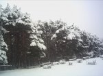 PICT0029.JPG