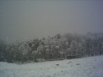 PICT0030.JPG