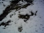 PICT0034.JPG