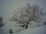 PICT0036.JPG