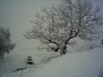 PICT0037.JPG