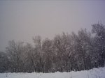 PICT0040.JPG