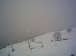 PICT0041.JPG