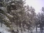PICT0044.JPG