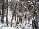 PICT0046.JPG