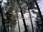 PICT0047.JPG