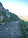100_3129.jpg