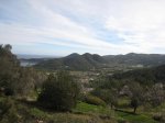 IMG_5082 comp.jpg