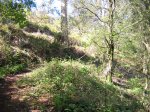 DSCN1453.JPG