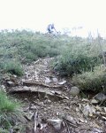 foto1.jpg