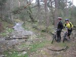 m_DSCN0784.JPG