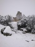 DSC01407.jpg