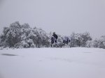 DSC01438.jpg