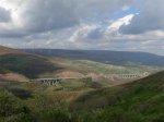 DSCN0996 (Medium).JPG