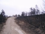 Incendio (1).jpg