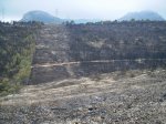 Incendio (2).jpg