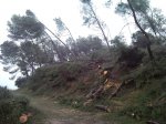 SNC00214.jpg