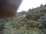 DSC00128.JPG