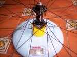 ringle sunn 003.jpg
