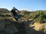 IMG_1196.jpg